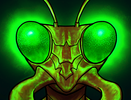 Жучиный глаз