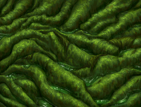 Болотная жижа