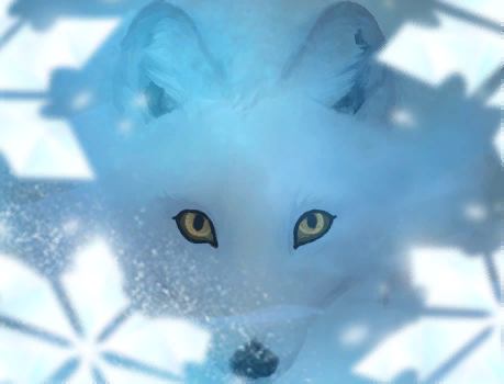 Camouflage des Neiges