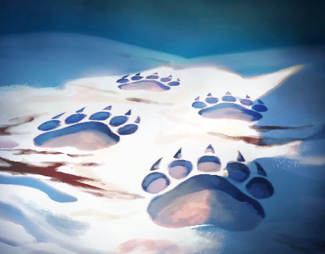 Медвежьи следы+