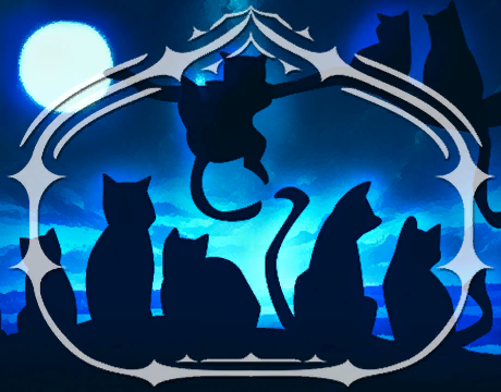 Nove Vite Aggraziate