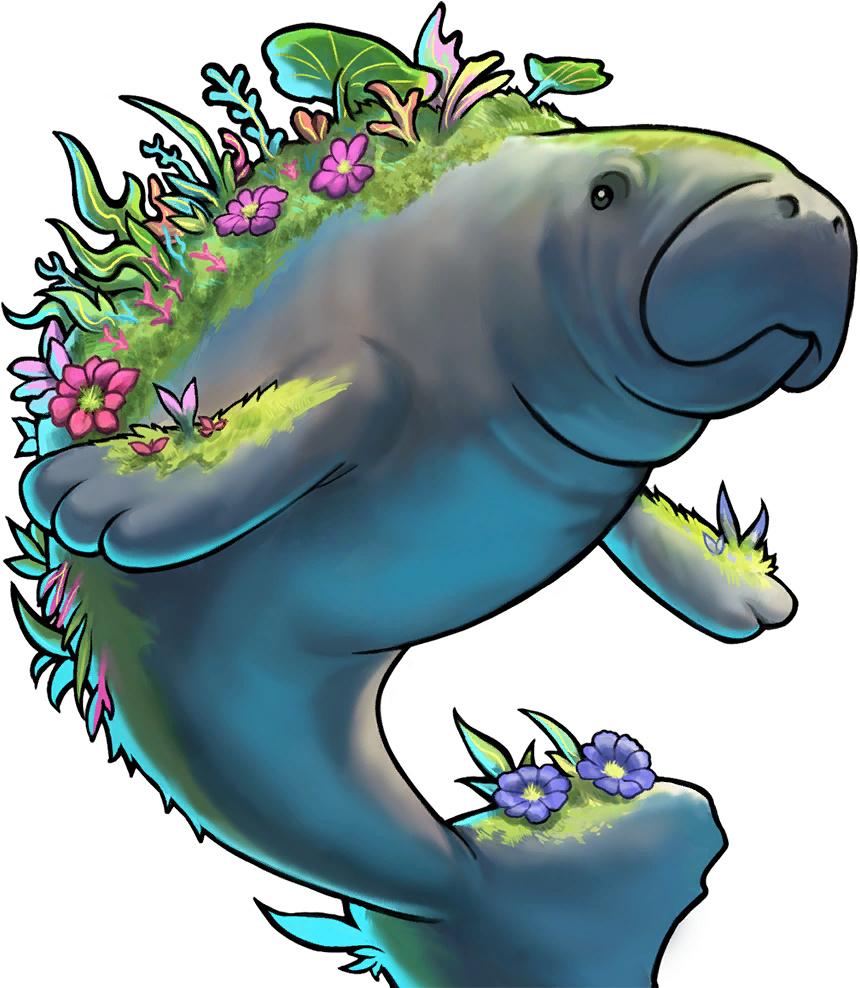 Bloom Manatee